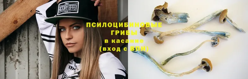 гидра зеркало  Карабаш  Псилоцибиновые грибы MAGIC MUSHROOMS 